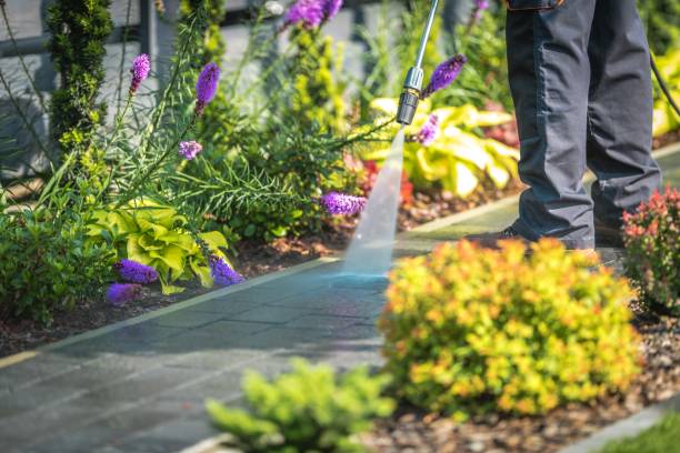 Best House Exterior Washing  in North Patchogue, NY